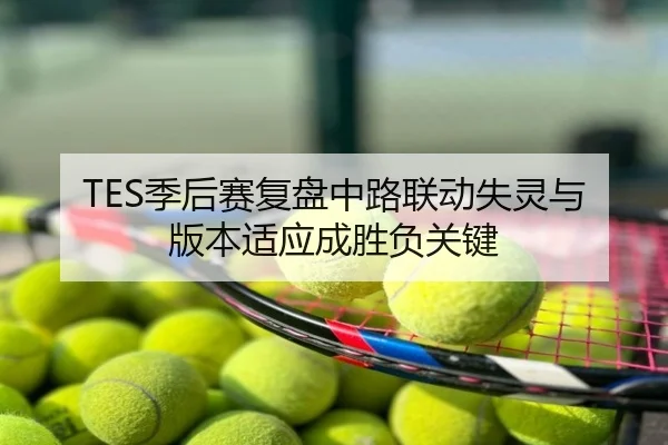 TES季后赛复盘中路联动失灵与版本适应成胜负关键