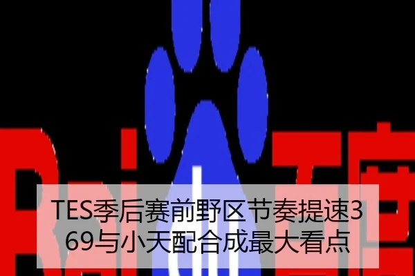 TES季后赛前野区节奏提速369与小天配合成最大看点